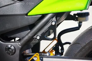 RACING HOOKS (Set of 2)