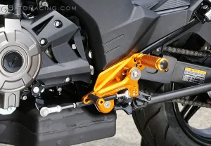 REAR SETS (Stock Shift) - Racing concept