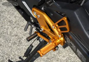 REAR SETS