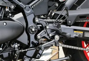 REAR SETS