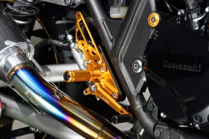 REAR SETS