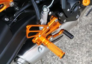 REAR SETS