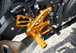 REAR SETS