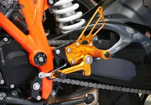 REAR SETS
