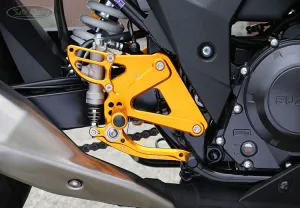 REAR SETS