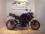 Fresco Schalldämpfer oval mit Carbonendkappe Yamaha FZ 8