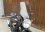 Verkleidungsscheibe Scheibe Royal Enfield Himalayan Euro 4 40cm