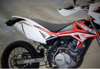 Beta 125 RR 15-17 Schalldämpfer ...